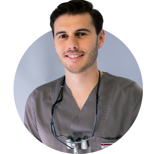 Adrian Statescu Adrian Statescu